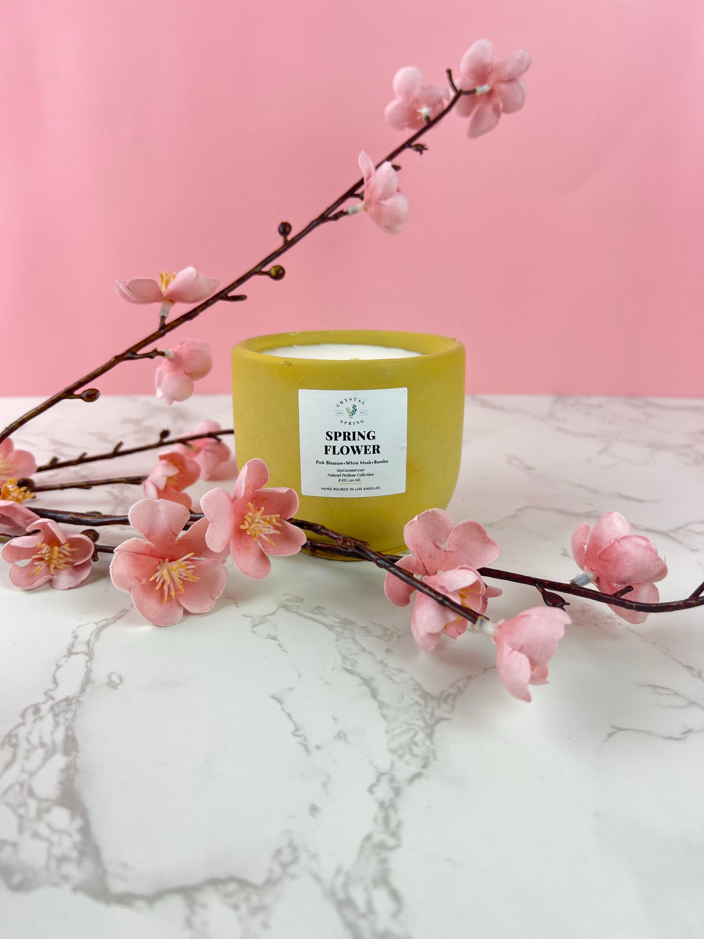 Spring Flower