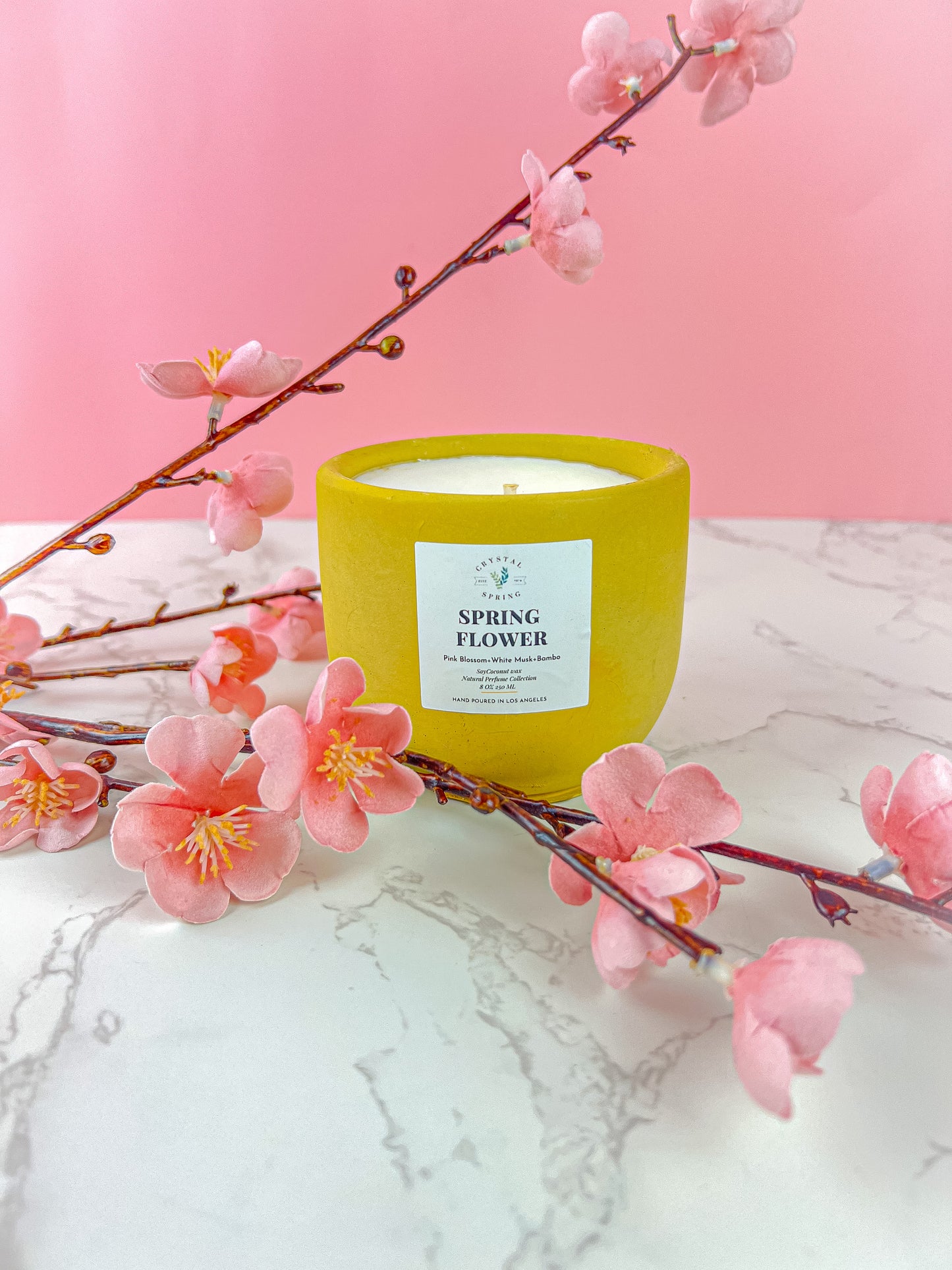 Spring Flower