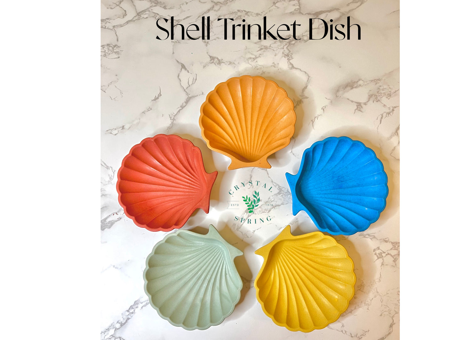 Shell Trinket Dish